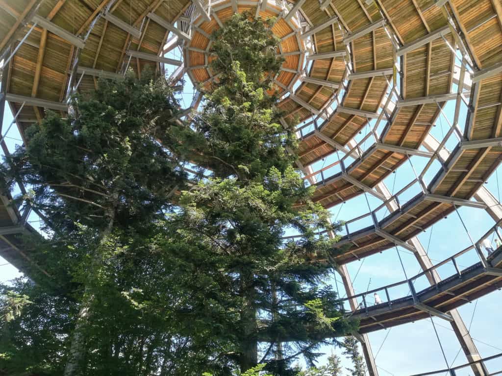 Stezka korunami stromů v Bavorském lese