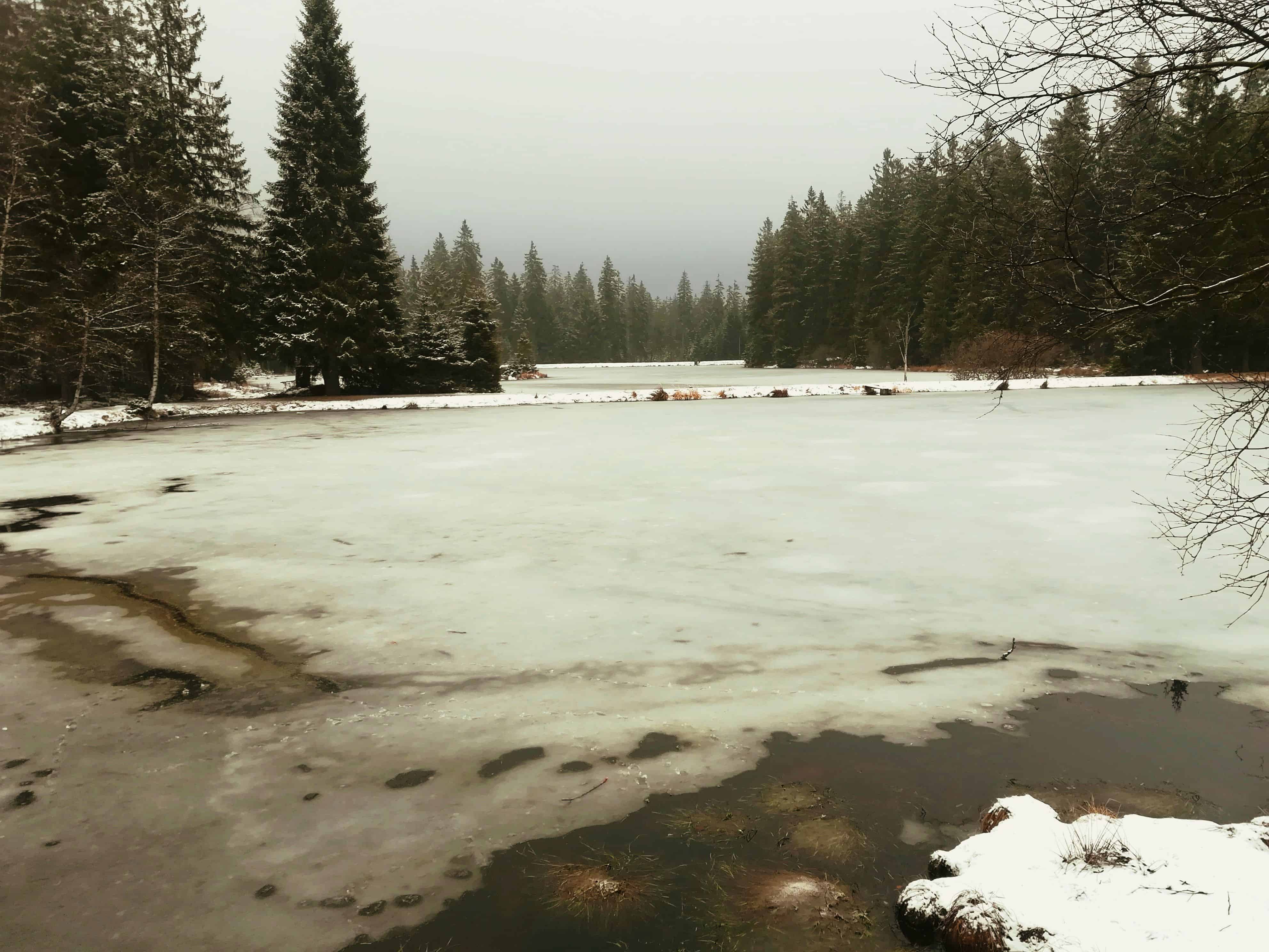 Slavkovský les