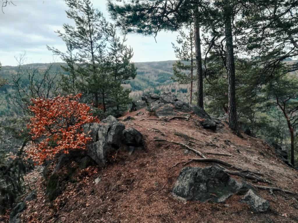 Lesní vyhlídka u Svatošských skal ve Slavkovském lese