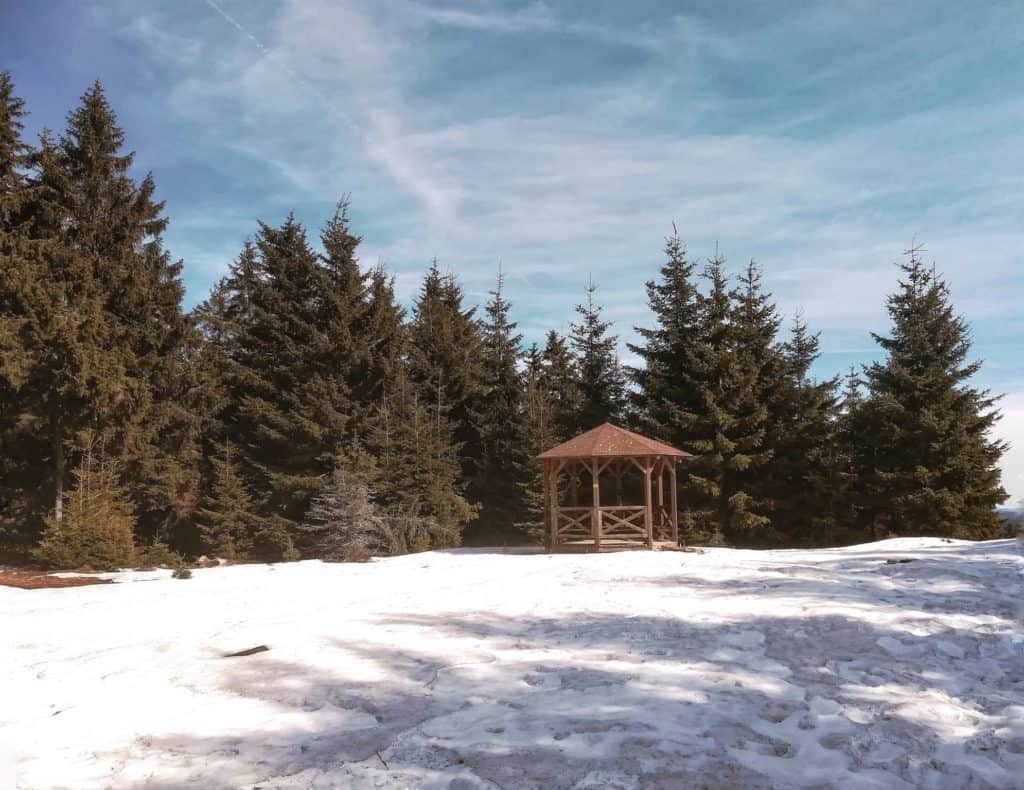 Kam na výlet na Karlovarsku? Zajímaví místa Slavkovského lesa - nejvyšší vrchol Lesný.