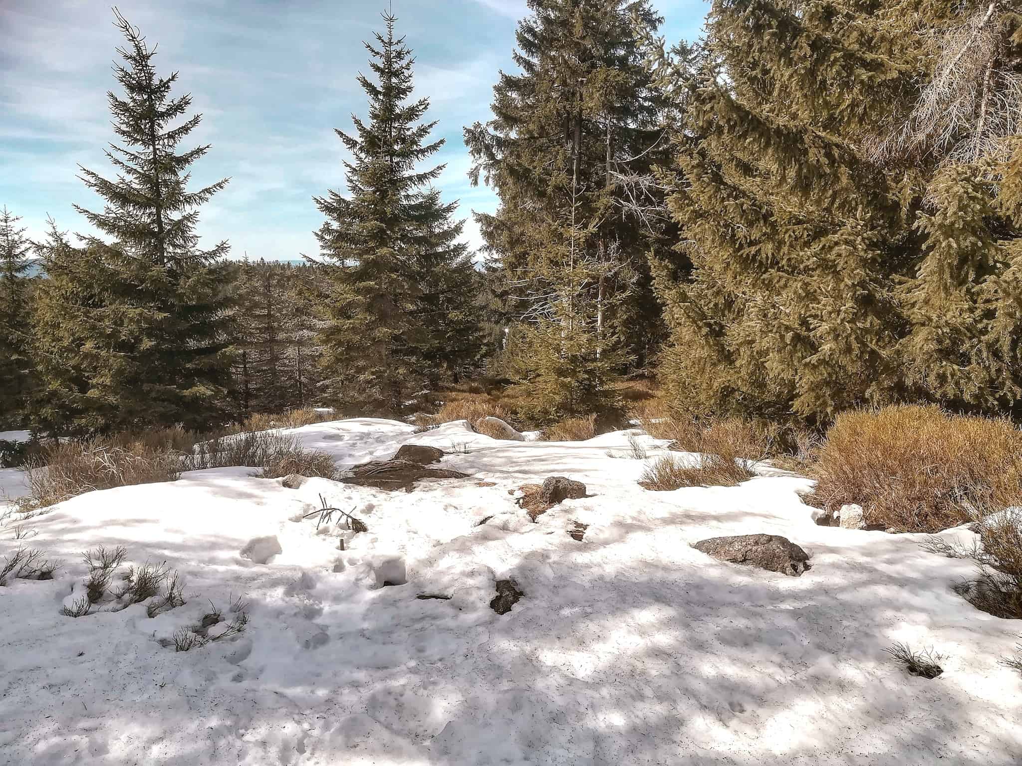 Kam na výlet na Karlovarsku? Zajímaví místa Slavkovského lesa - nejvyšší vrchol Lesný.