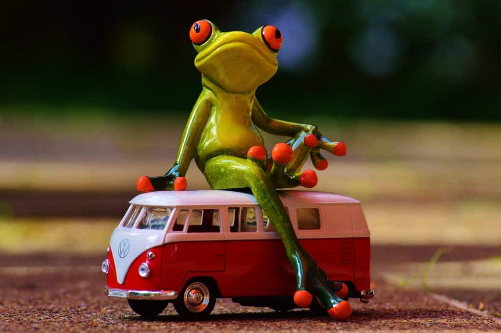 autobusem do Říma