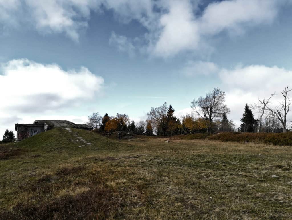 Rýžovna