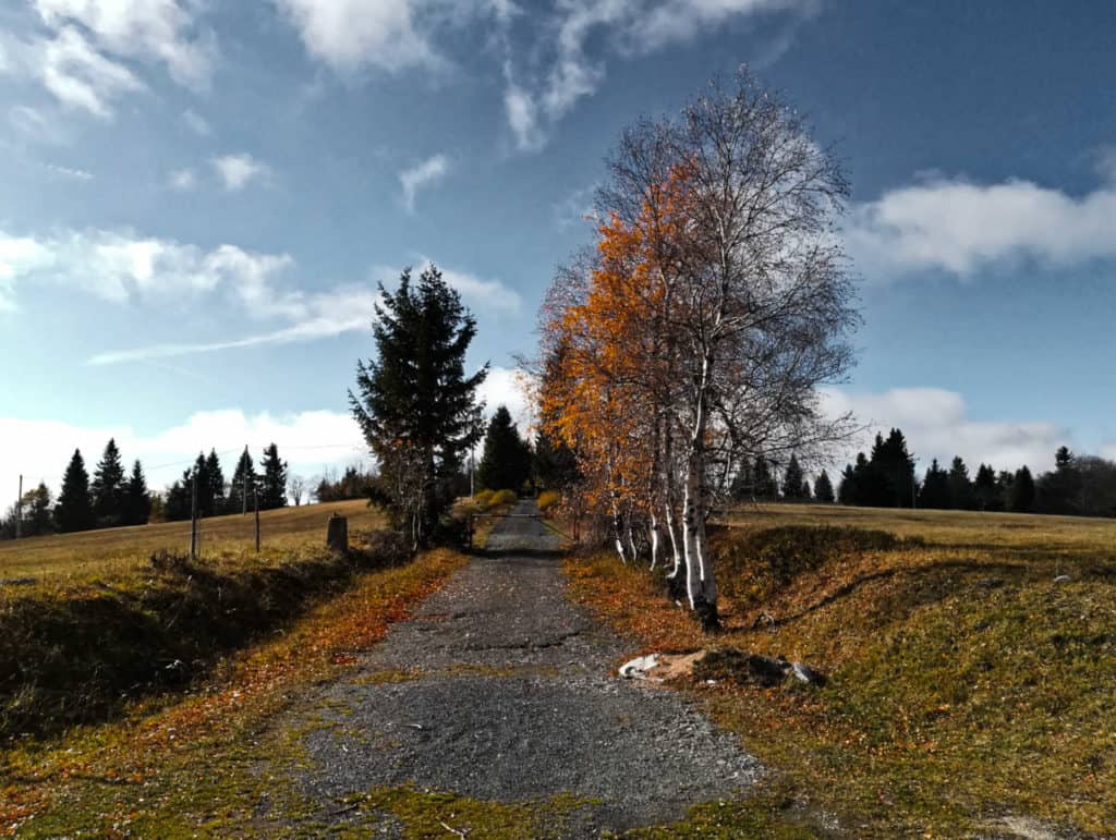 cesta do PR Rýžovna