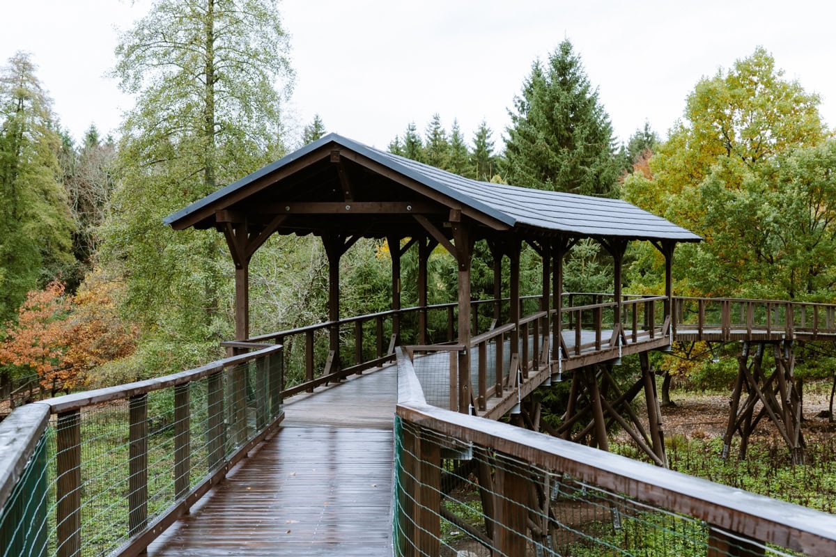 pozorovací lávka u daňků Svatý Linhart