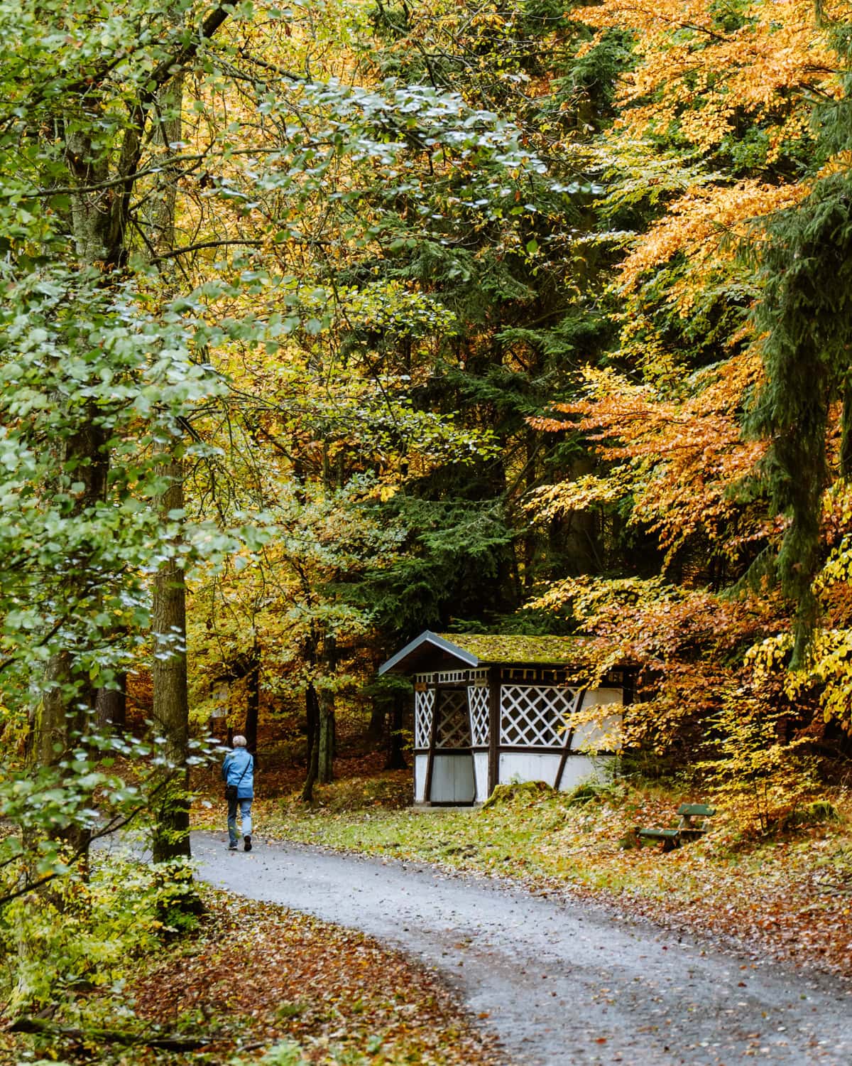 obora Svatý Linhart