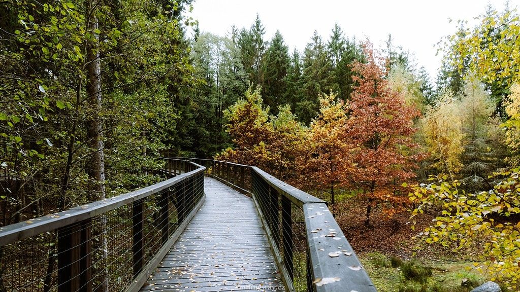 Obora Svatý Linhart