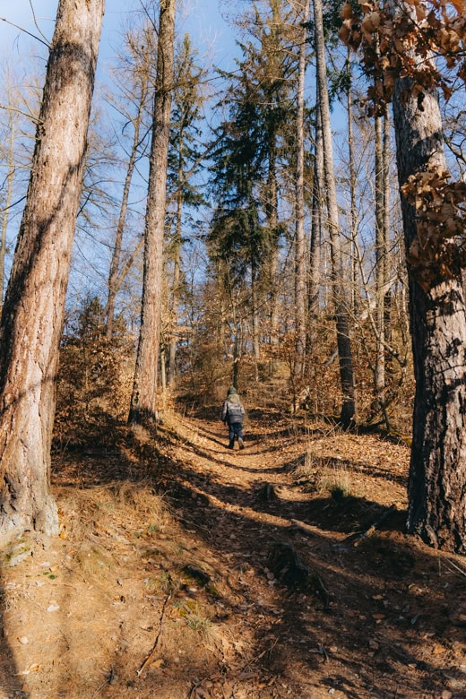 trasa na Šemnickou skálu