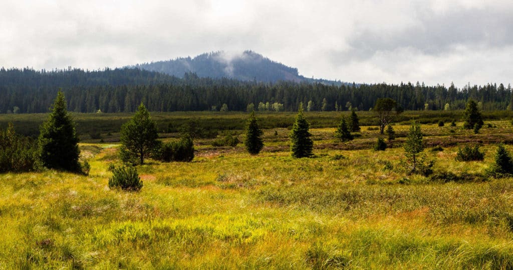 Šumava turistické trasy