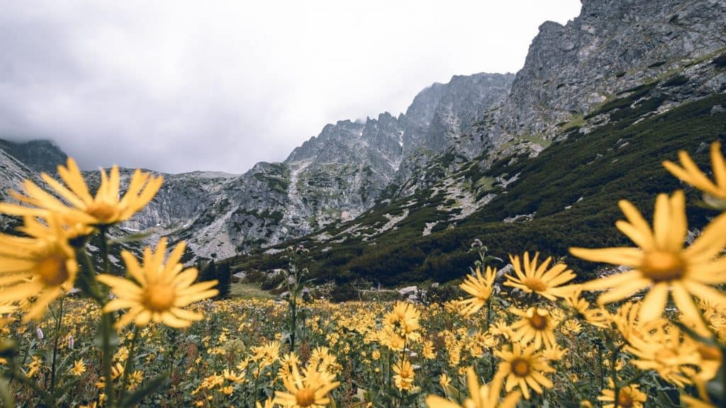 18 Best Hikes in the High Tatras, Slovakia (+ map)