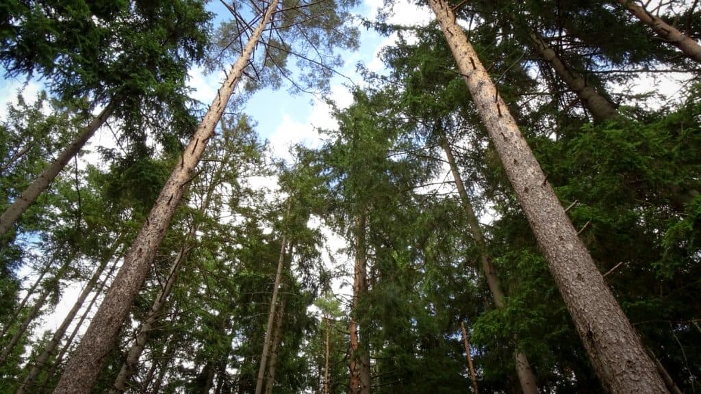 Slavkovský les ubytování / Slavkovský les výlety