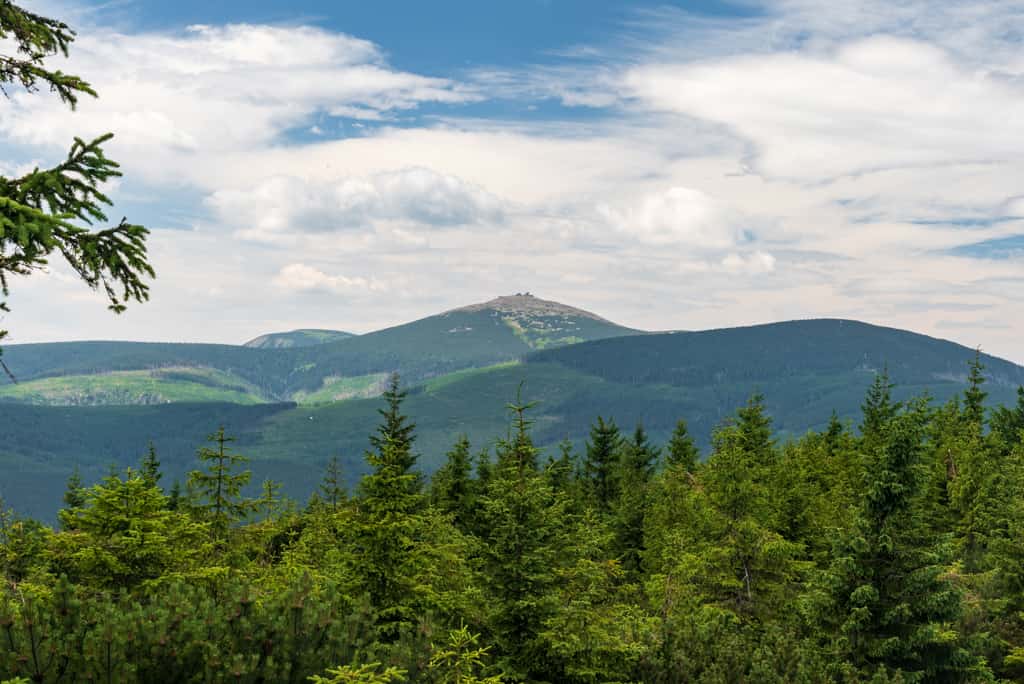 Výhled z Lysečinské hory na Sněžku a hřeben Krkonoš / co vidět v východních Čechách