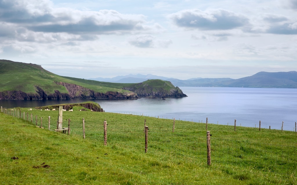 Poloostrov Dingle / nejkrásnější místa v Irsku