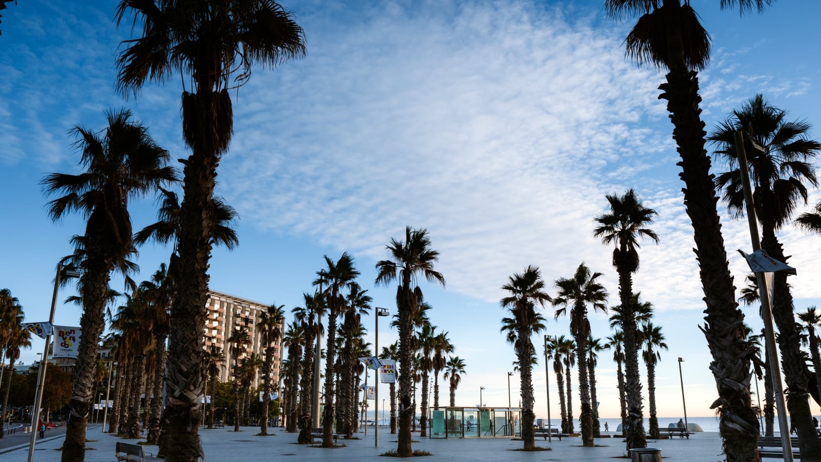 barcelona bez cestovky