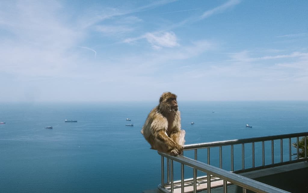 Gibraltar / nejlepší tipy na výlety Málaga Španělsko