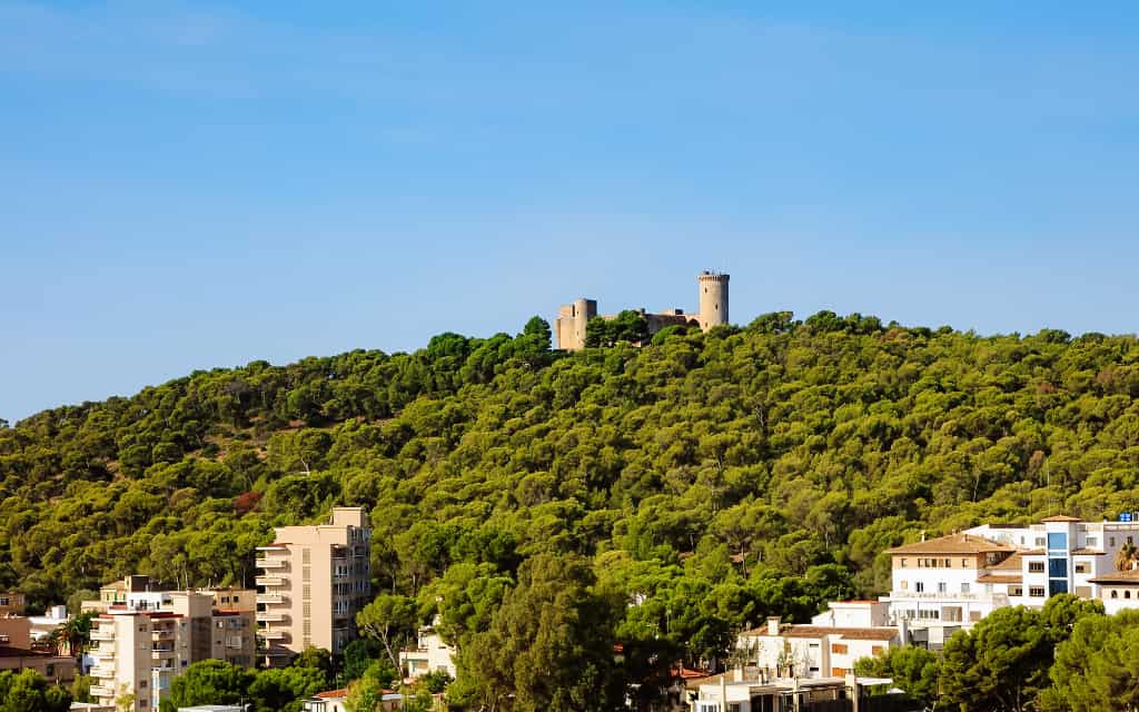 Castell de Bellver patří mezi nejkrásnější památky, co navštívit v Palma de Mallorca - na obrázku je vidět hradit na kopci mezi stromy