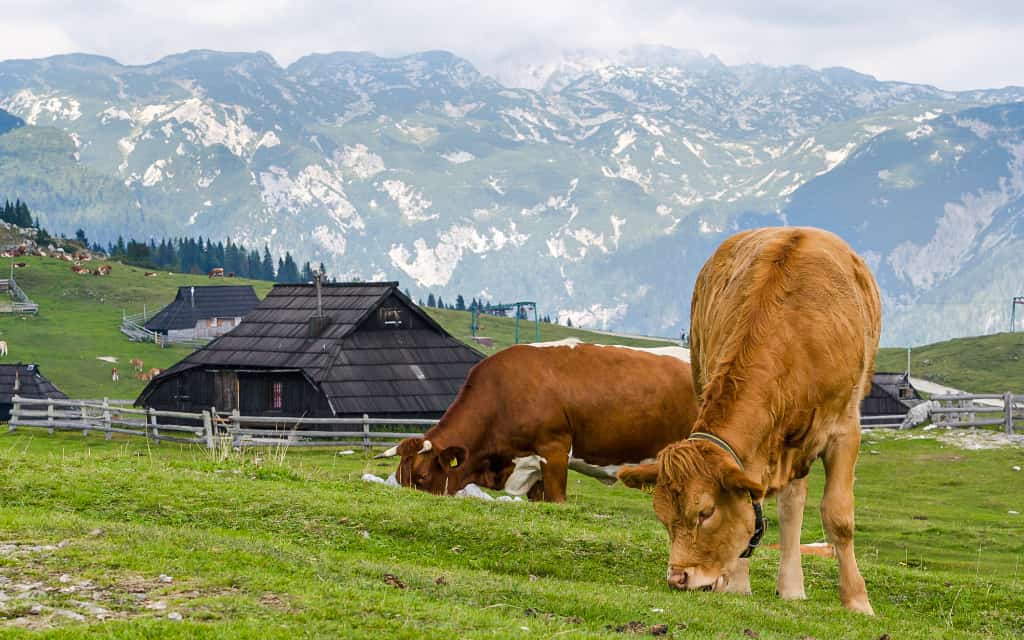 Velika Planina / nejkrásnější místa Slovinska