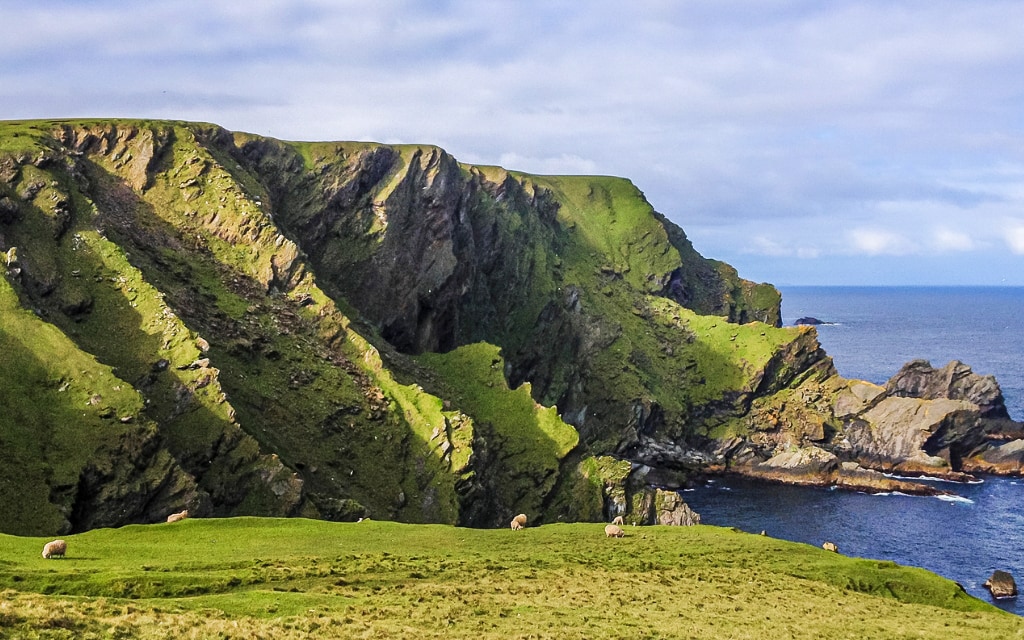 Národní přírodní rezervace Hermaness na severu Shetlandských ostrovů