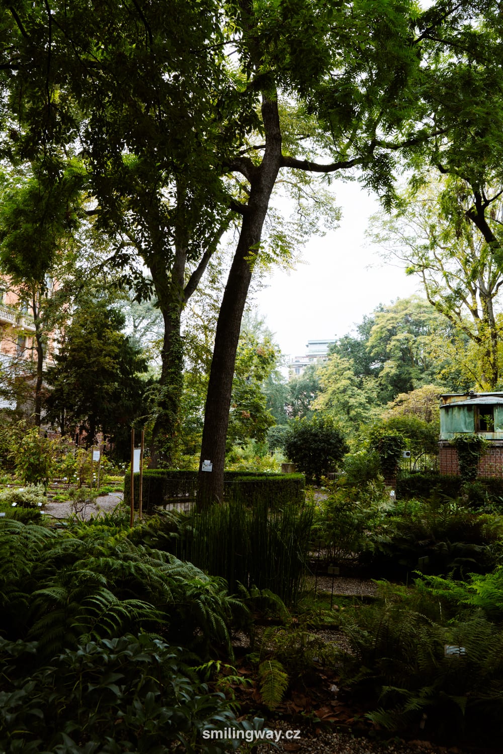 botanická zahrada Brera Milan