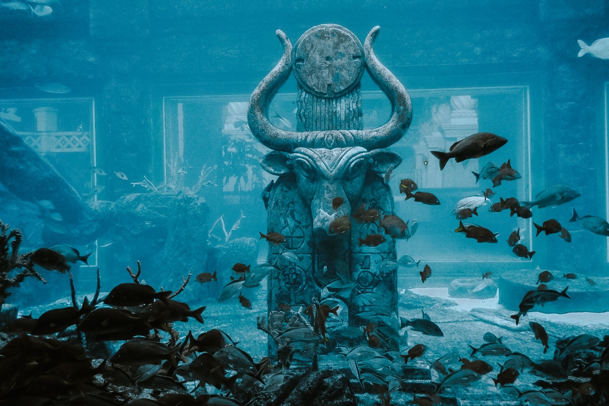 The Lost Chambers Aquarium dubaj