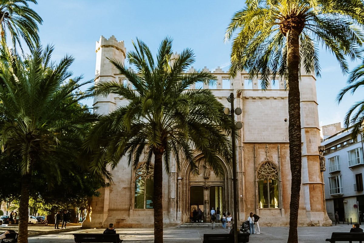 palma de mallorca