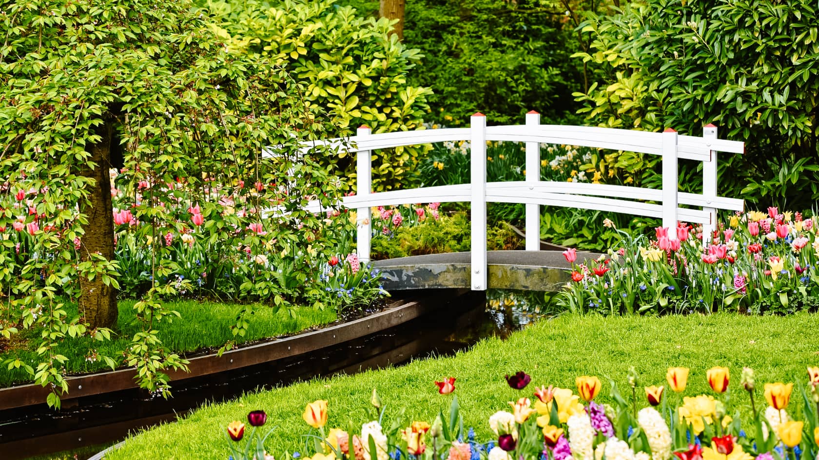 kam v amsterdamu s dětmi