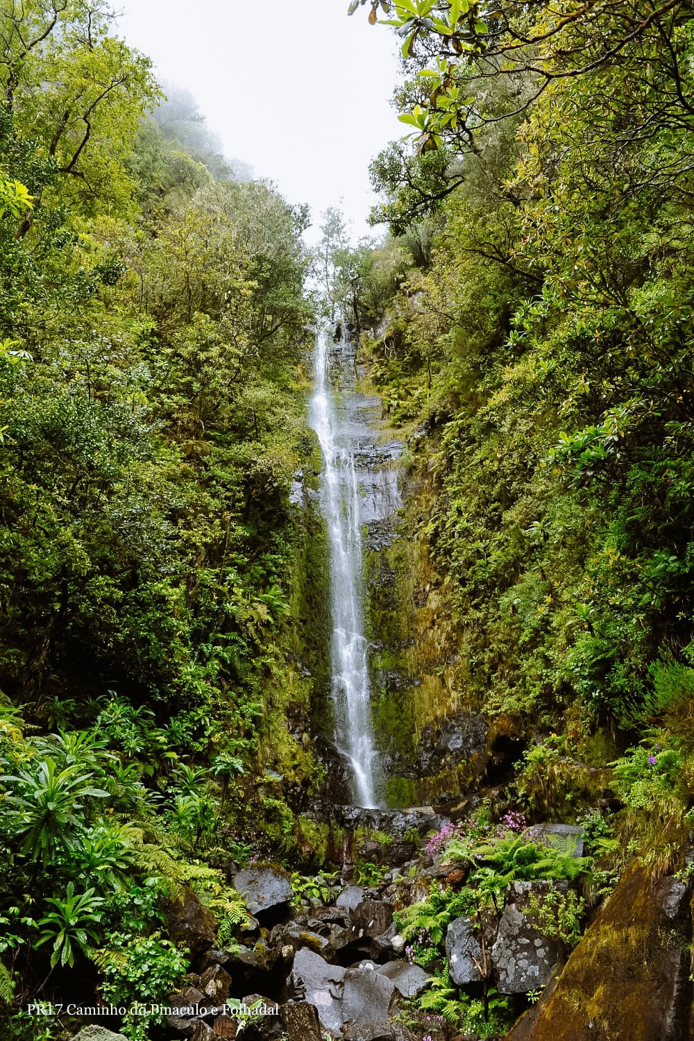 Caminho do Pinaculo e Folhadal