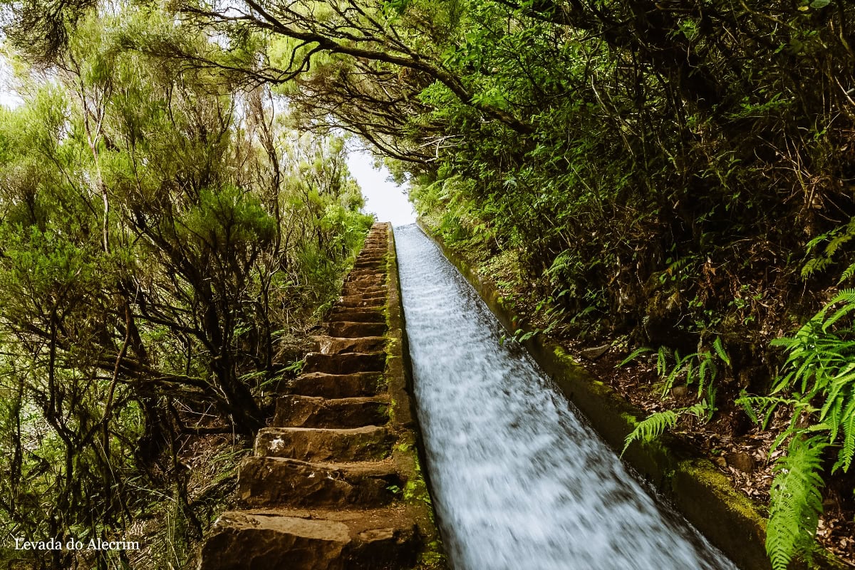 levada do alecrim