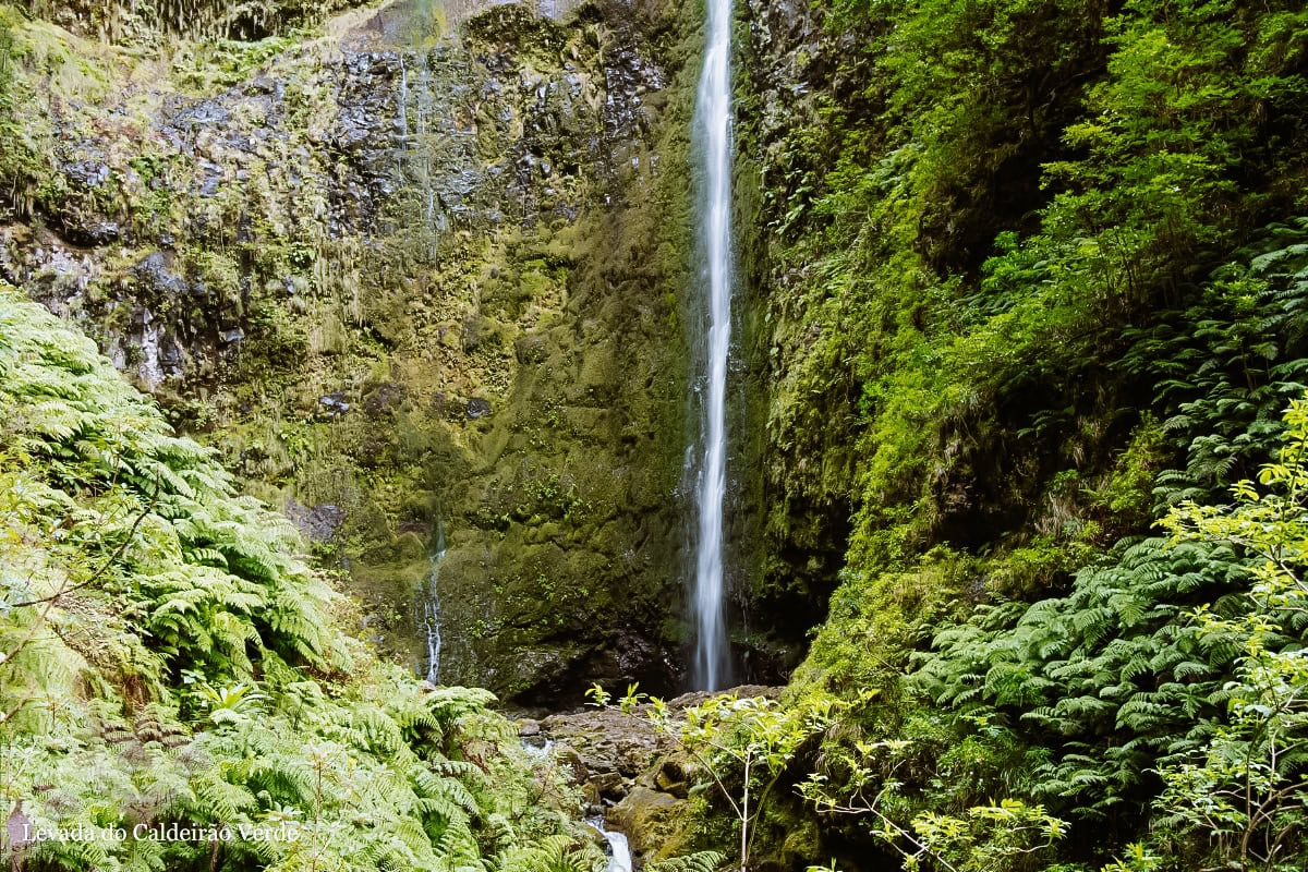 PR9 - Levada do Caldeirão Verde