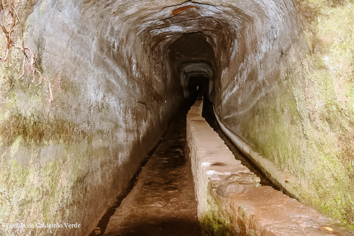 levada madeira