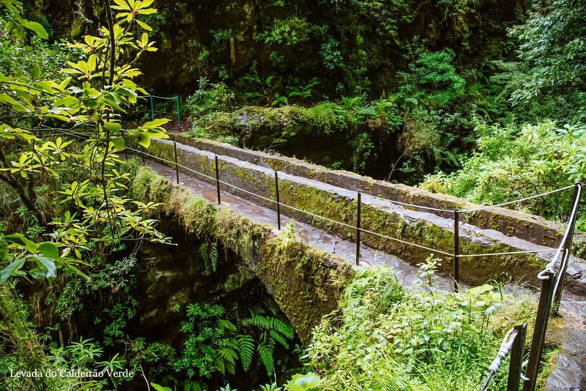 levada do caldeirao verde madeira