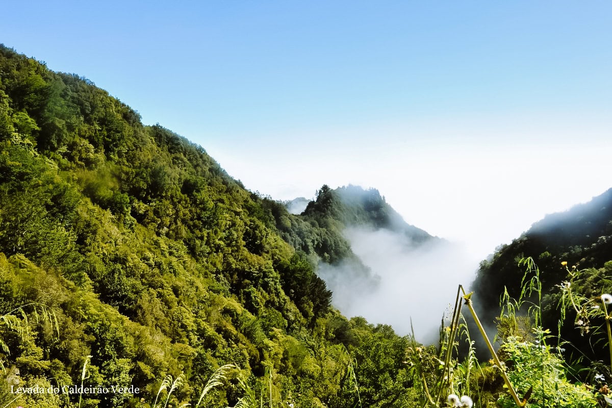 PR9 - Levada do Caldeirão Verde