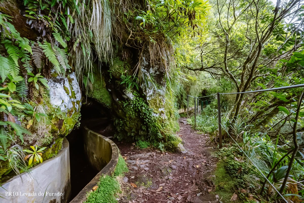 leváda do furado madeira