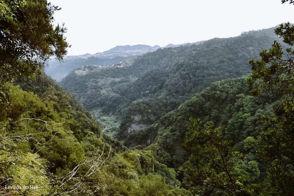 levada do rei madeira