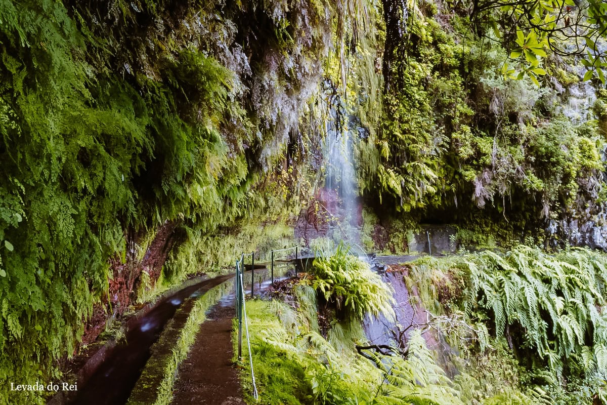 levada do rei madeira