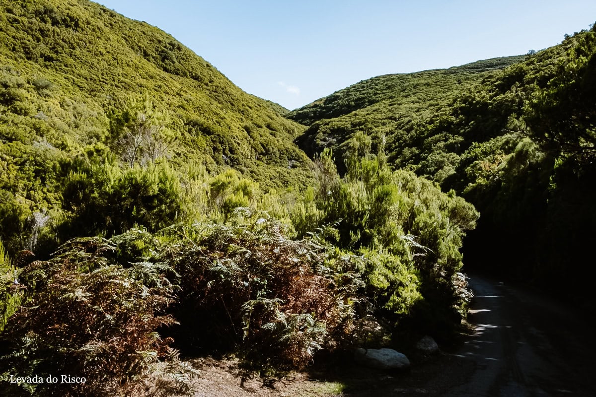 PR6 - Levada das 25 Fontes a Levada do Risco