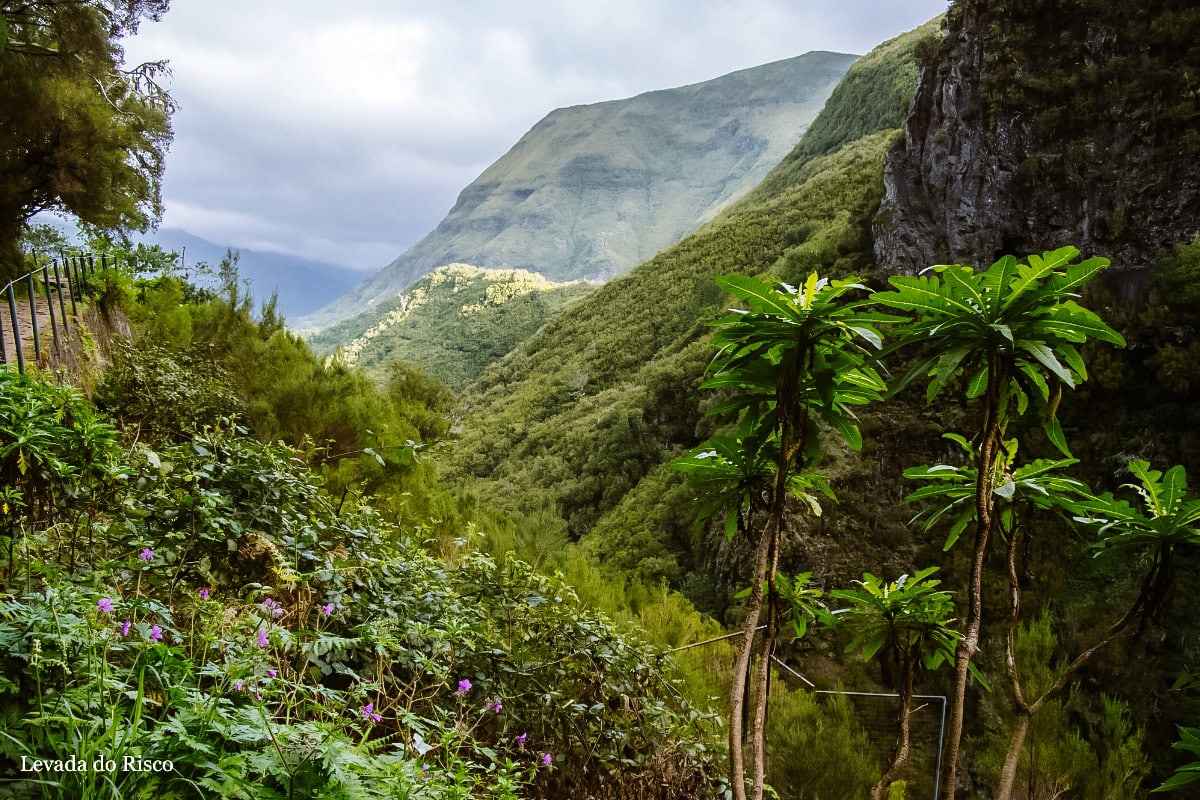 levada do risco