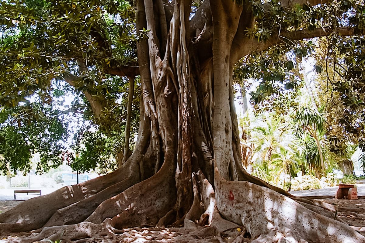 Botanická zahrada La Concepción Málaga