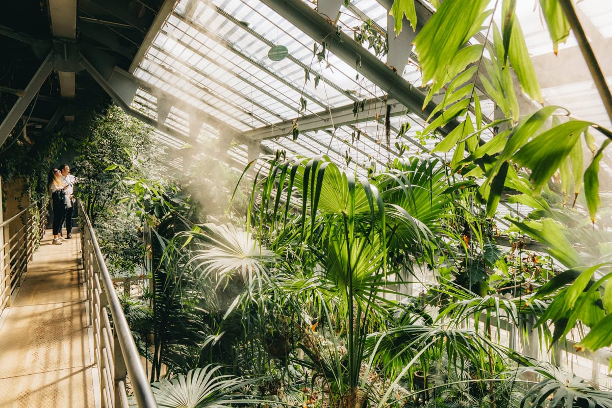 Královská botanická zahrada Madrid