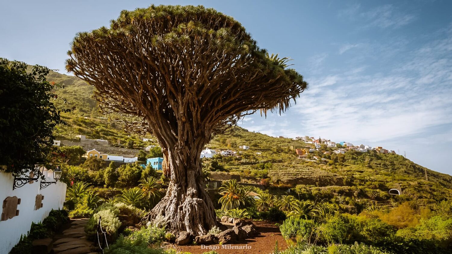 tenerife cestovní průvodce / jak navštívit Tenerife