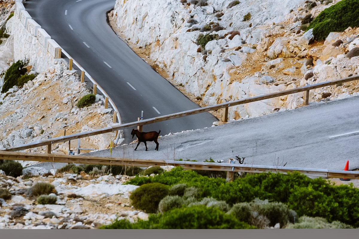 cap de formentor