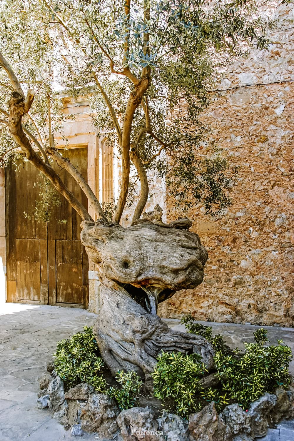 Pollença co navštívit na Mallorce