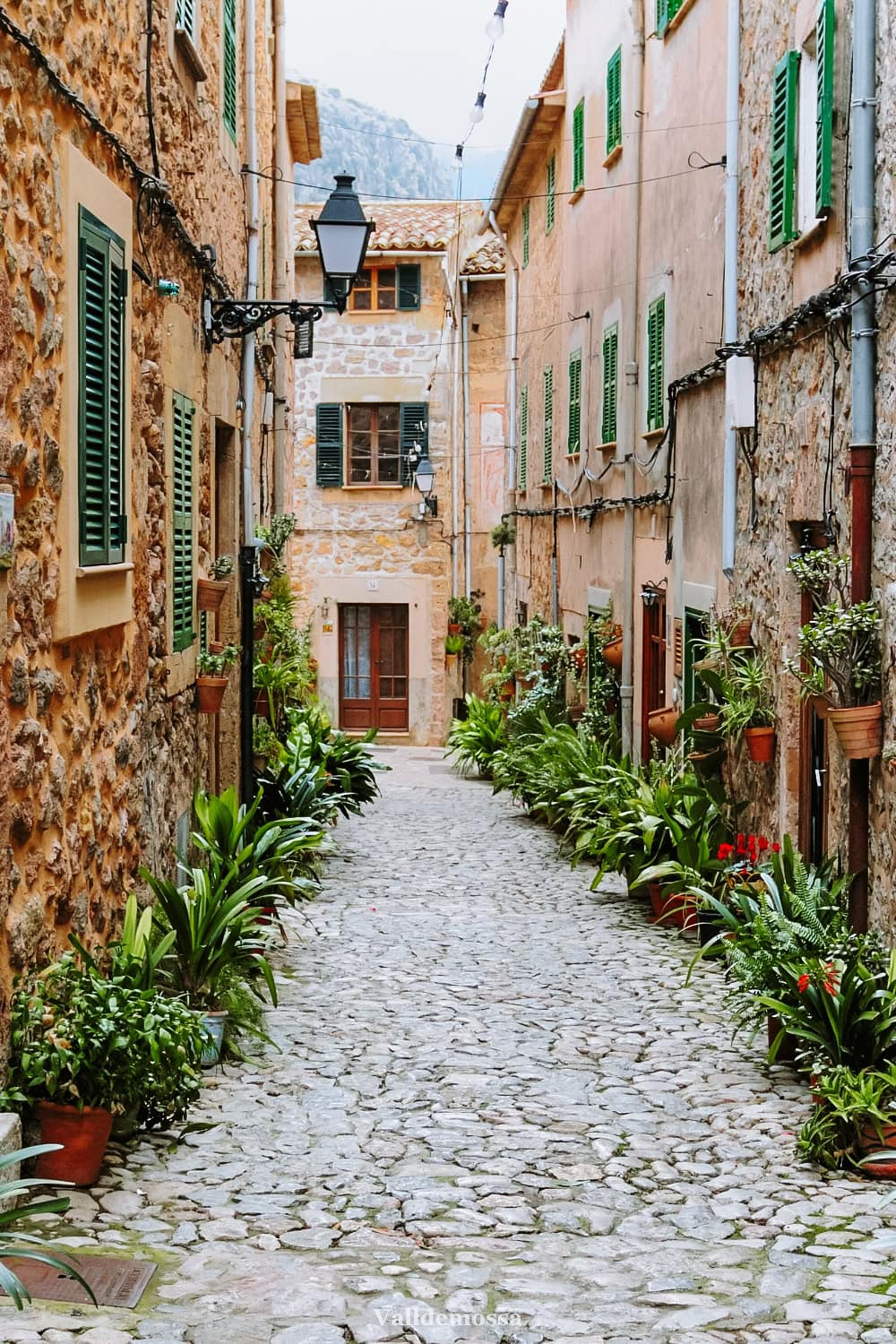 valldemossa