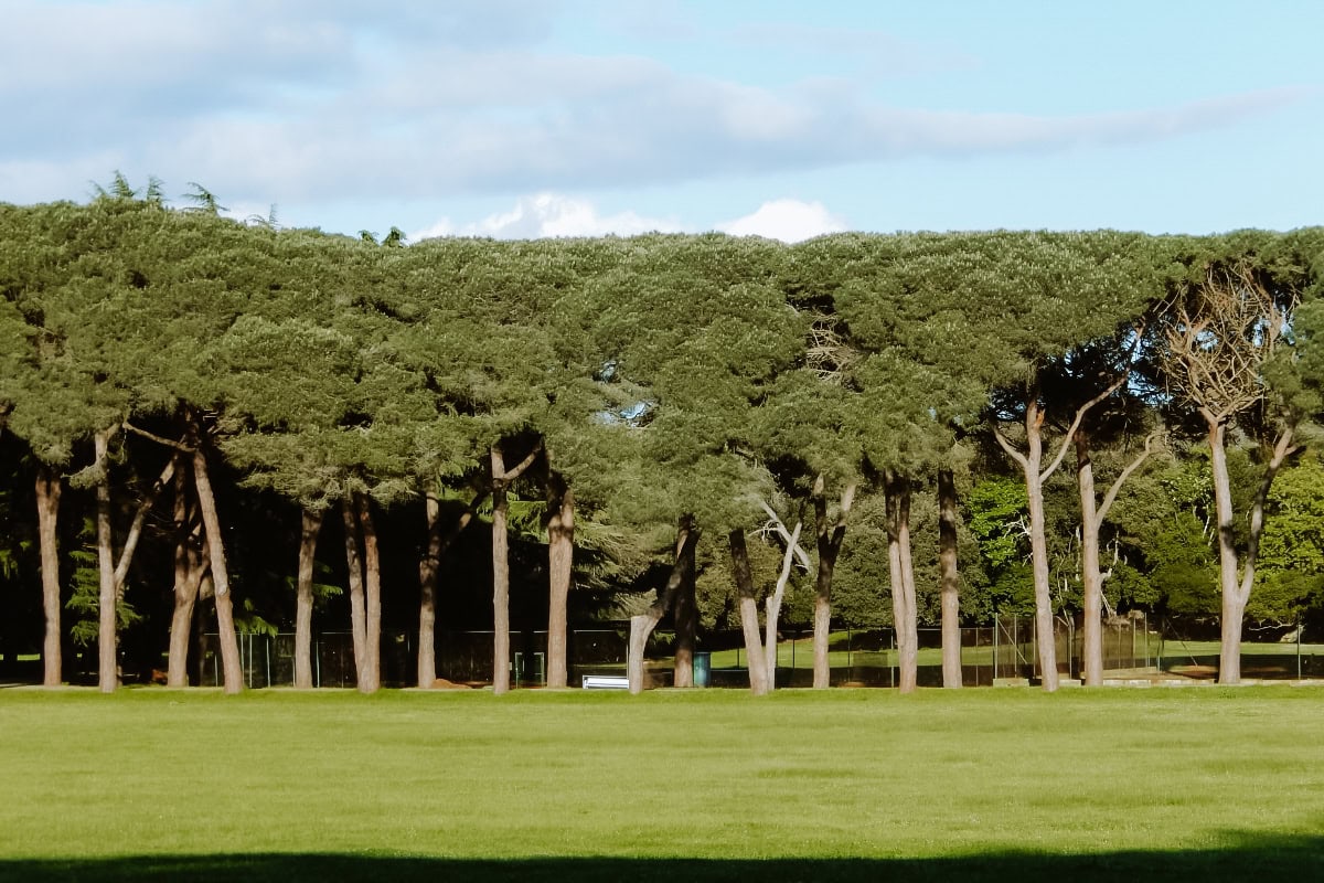 Brijuni národní park