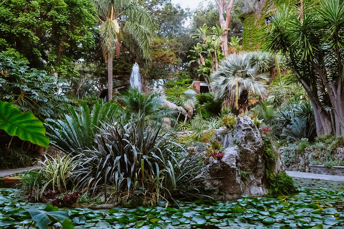 botanická zahrada na Ischii