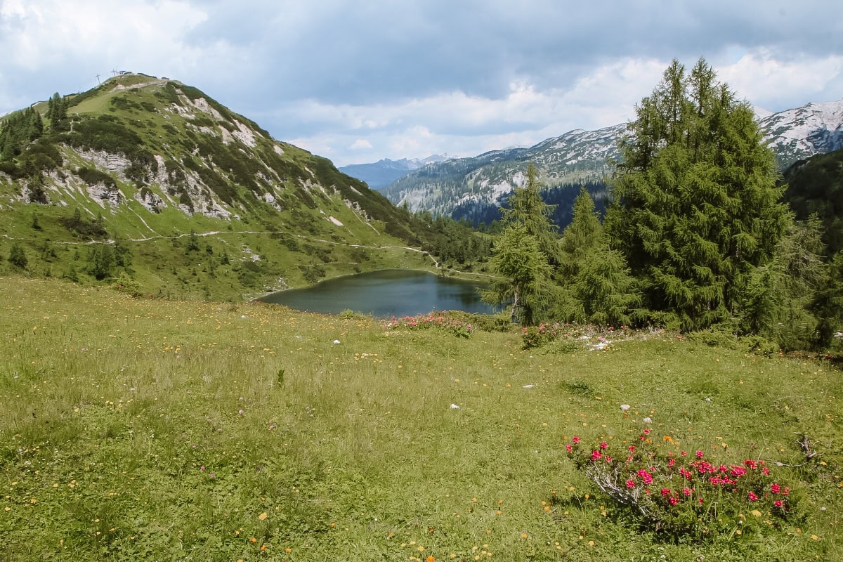 tauplitzalm salzkammergut