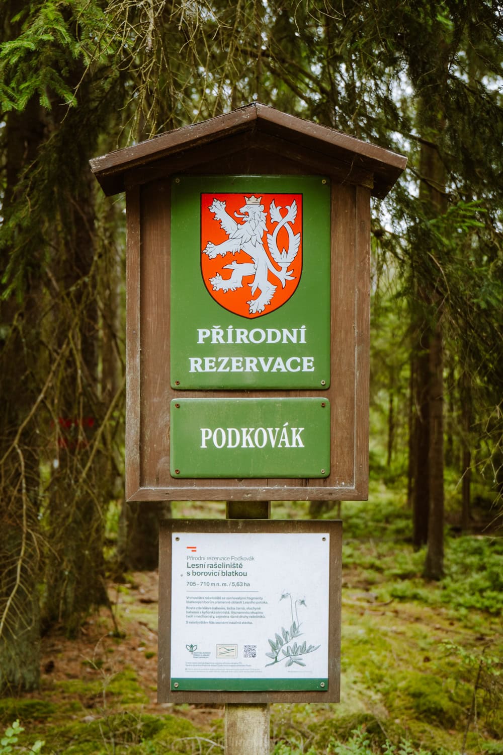 Přírodní rezervace Podkovák Český les co navštívit v okolí Tachova