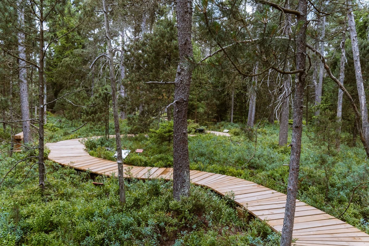 Přírodní rezervace Podkovák Český les co navštívit v okolí Tachova