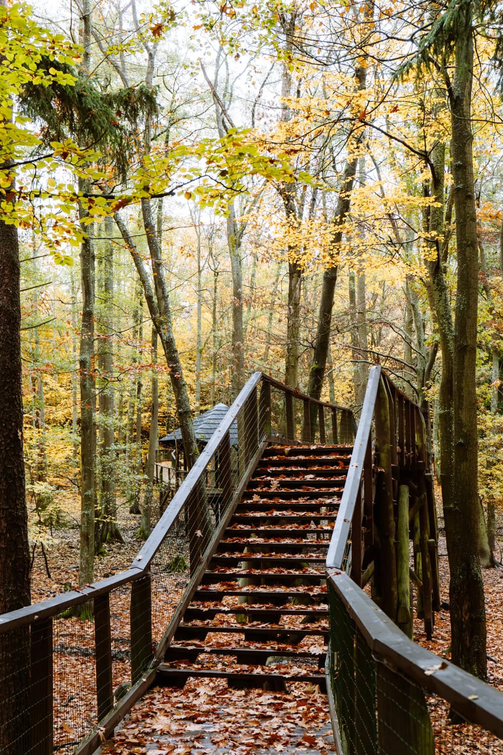 Osada Svatý Linhart Karlovy Vary co navštívit v Karlových Varech