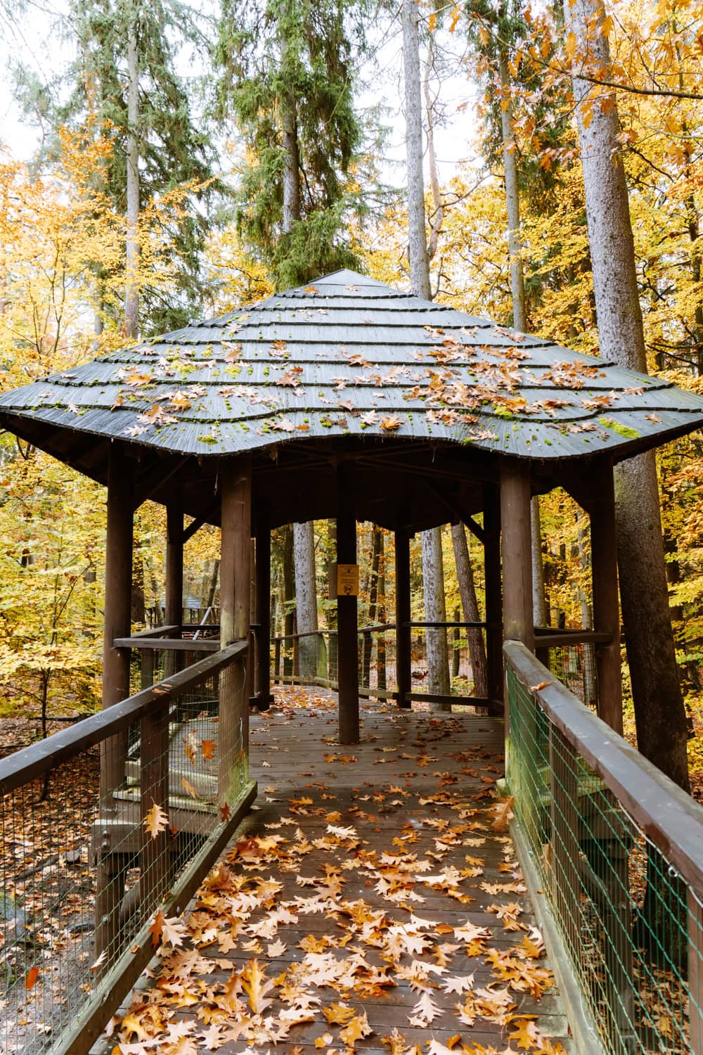 Osada Svatý Linhart Karlovy Vary co navštívit v Karlových Varech